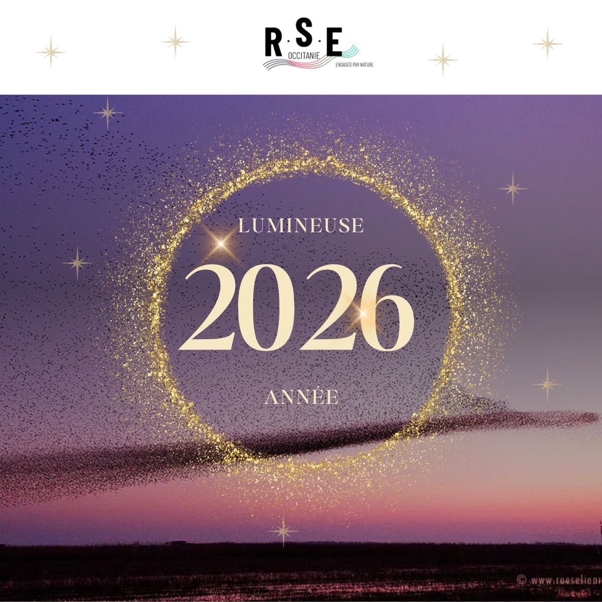 Bonne Année 2026 RSE OCCITANIE